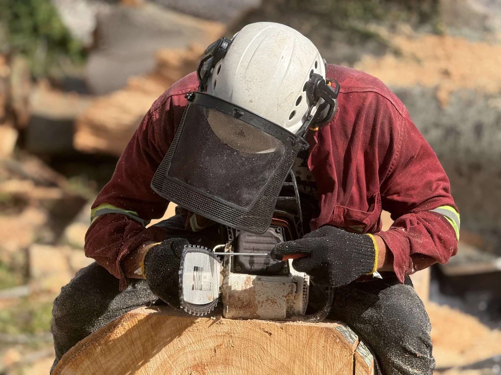 Arborista usa motosserra para cortar um tronco, com capacete, viseira e luvas de proteção